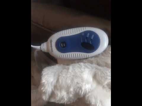 Beautyrest - Only had electric throw for a month and lights are blinking can get it to...