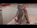 Aaron 039 s Animals Awesome VIDEO COMPILATIO Aaron 039 s Animals Awesome VIDEO COMPILATIO