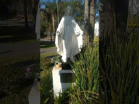 LA VIRGEN MARÍA EN SAN FERNANDO #buenosaires #viapublica
