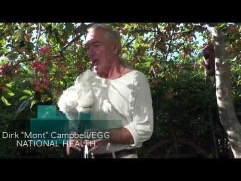Dirk Mont Campbell of EGG and NATIONAL HEALTH excerpt "Romantic Warriors 3 - Special Features DVD"