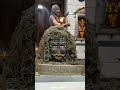 महाकाल की आरती Shiva Mahakal Bholenath Songs Shorts
