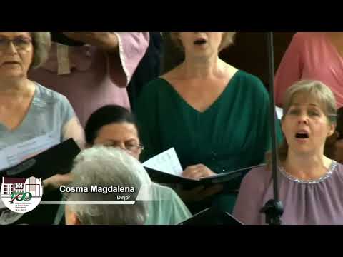 Mesagerii Sperantei - Domane buzele mele