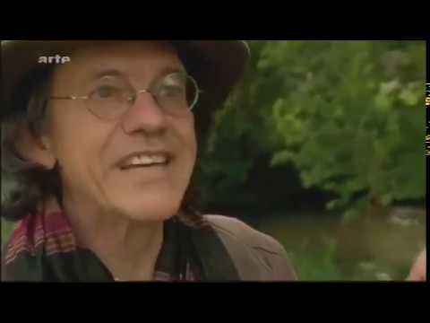 L'ortie Documentaire pour mieux comprendre les plantes sauvages & le jardin potager en permaculture