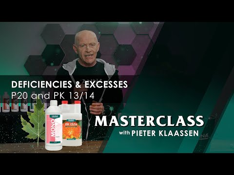CANNA Masterclass – Deficiencies and Excesses: Phosphor