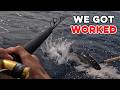 Bluefin Tuna Put Us Through It DEFAULT Thumbnail