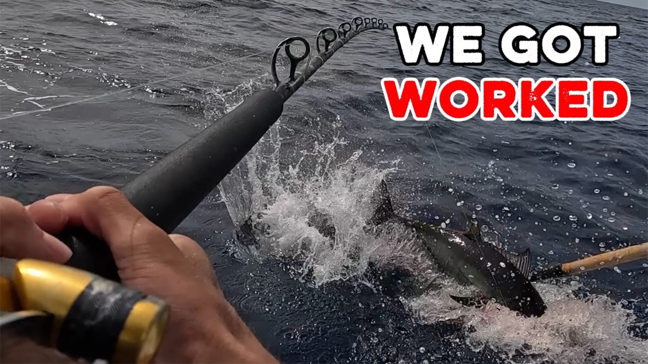Bluefin Tuna Put Us Through It