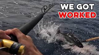 Bluefin Tuna Put Us Through It MQDEFAULT Thumbnail