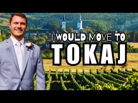 why would this American guy move to Tokaj, Hungary?