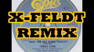 Thomas Ledin - What Are You Doing Tonight X-FELDT REMIX