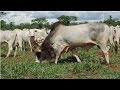 Curso Administração da Pequena Empresa Rural