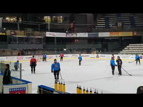 Les Boxers de Bordeaux à l'entraînement avant le match contre Gap