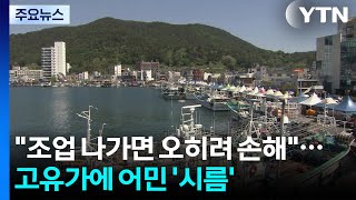 "조업 나가면 오히려 손해"...고유가에 어민 '시름' / YTN