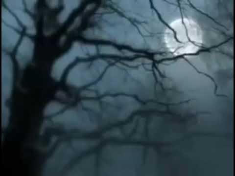 Roshan Rizvi kuch to loag kahenge