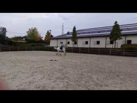 Cornet Obolensky. 28.10.2014.be.conrad