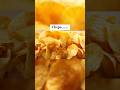 Stange Things Found In Food Scary Videos Shorts Short