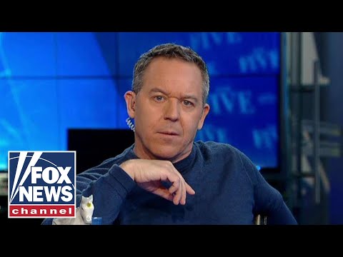 古特菲爾德談圖西和希拉里的美國之爭 (Gutfeld on the Tulsi and Hillary battle for America)
