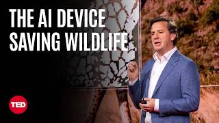 These AI Devices Protect Nature in Real Time | Juan M. Lavista Ferres | TED