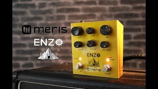 Meris - ENZO the best synth pedal ? Our First Impression