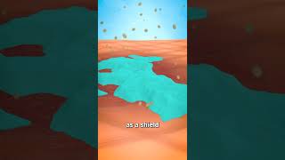 Should You Pick Your Scab? 🤨