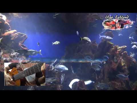 Pena pli gran lamour || Père Laurent Rivet (guitar cover CM-GS)