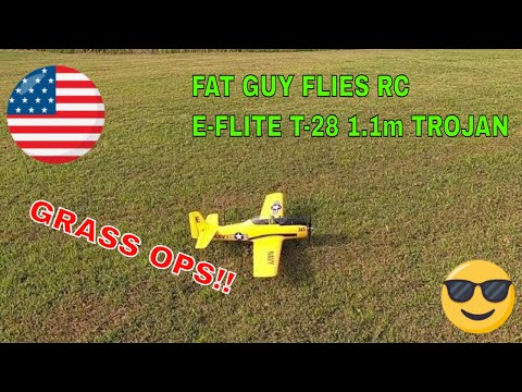 BEST WARBIRD TRAINER OUT THERE  E-FLITE T-28 BY FAT GUY FLIES RC
