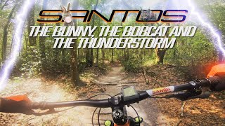 The Bunny, The Bobcat and The Thunderstorm, Welcome to Riding MTB in Florida!!