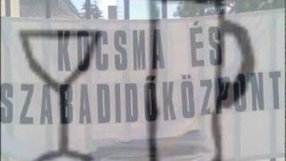 Vízöntő - Coki kutya