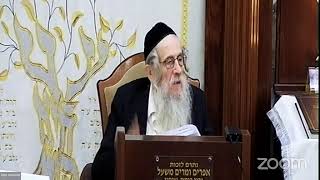 הרה"ג הרב וועכטר שליט"א י"ג תשרי תשפ"ג - מאמר הרבי הריי"צ תרח"ץ ד"ה ושאבתם מים בששון חלק ג (הרב אברהם מנחם מענדל וכטר) - התמונה מוצגת ישירות מתוך אתר האינטרנט יוטיוב. זכויות היוצרים בתמונה שייכות ליוצרה. קישור קרדיט למקור התוכן נמצא בתוך דף הסרטון