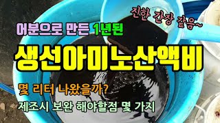 1년된 생선아미노산액비를 걸러보았고 몇리터나 나왔을까요? 쉽게 액비 거르는 방법 생선액비만들때 보완해야할점 …