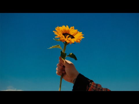 Lietuva Ukrainai - Gal Ne Rytoj