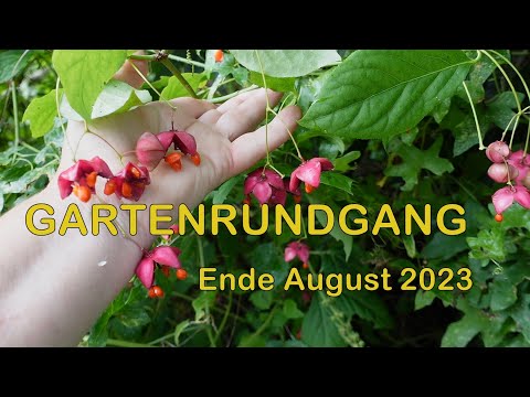 Gartenrundgang Ende August