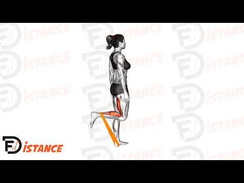 Exercice Leg curl élastique