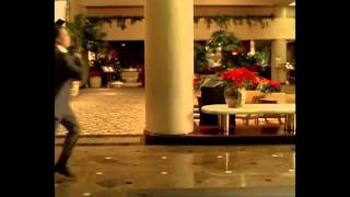 Cannon in the Heavens - Lotus