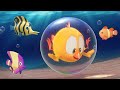 Where's Chicky? Funny Chicky 2023 | THE OCEAN | Cartoon in English for Kids | New episodes