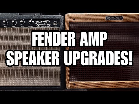 Fender Amp Speaker Upgrades For Princeton Reverb & Tweed Deluxe! 