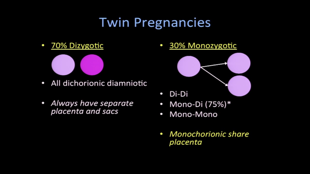SonoWorld: Twin Pregnancies