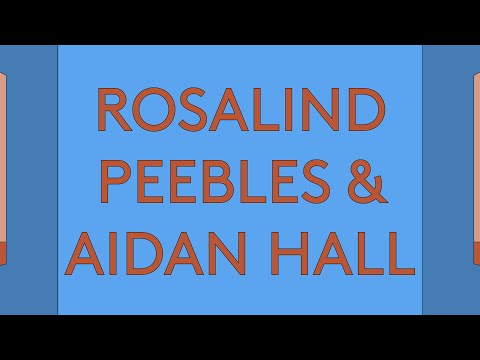 100 Day Studio: Rosalind Peebles & Aidan Hall - 'Modern Camden Housing'