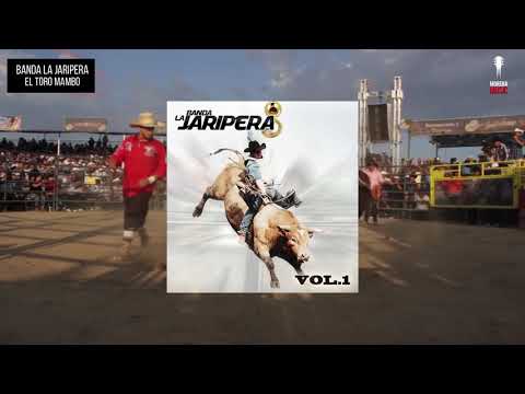 El Toro Mambo - Banda la Jaripera | Morena Music