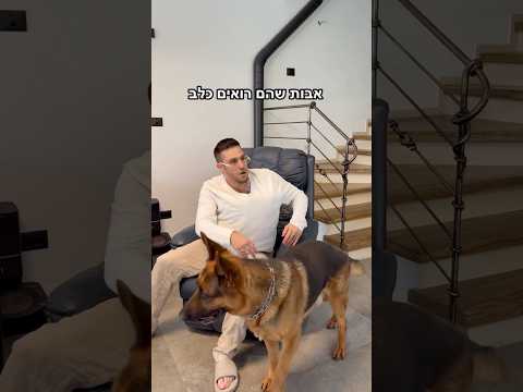 קווין רובין - אבות שהם רואים כלב