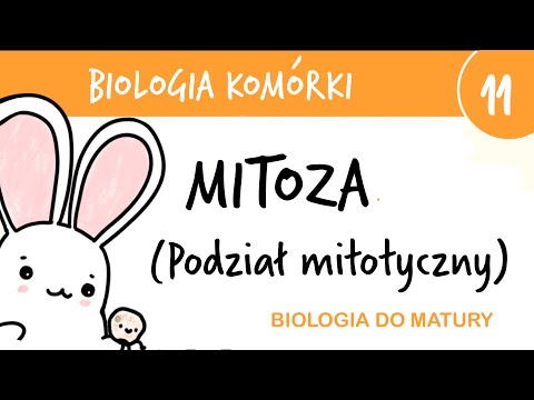 Cytology 11 - Mitosis mitotic division - biology for advanced secondary school leaving exam prepa...