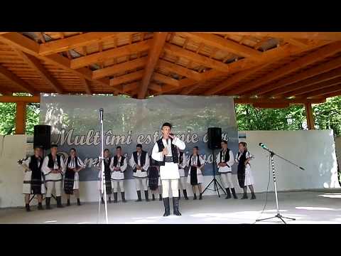 GHEORGHE TAMAS - "Retezat munte inalt",