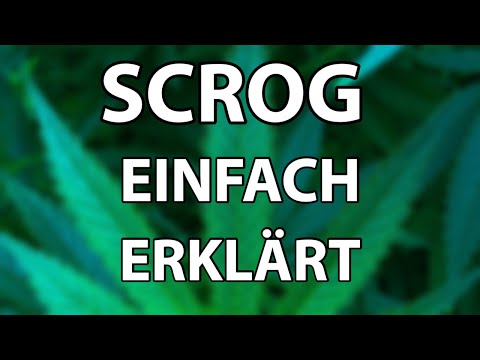 SCREEN OF GREEN - ERTRAG STEIGERN MIT EINFACHER METHODE  - Vorteile, Nachteile und Fakten