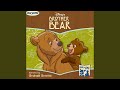 Brother Bear Storyteller