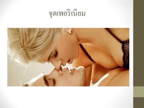 สมุนไพรบางเพิ่มความแข็งแรงชาย กระเจี๊ยวใหญ่และเกย์เล็ก ๆ น้อย ๆ