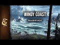Windy Coast Sea Waves Crashing Seagulls Nature Ambience 1 Hour Dnd