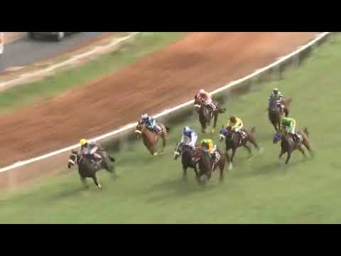 EAGLE PRINCE wins The Sunlight Handicap