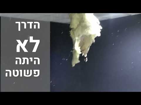 Rising from the Ruins: Torah VeHa'aretz Institute Past and Present