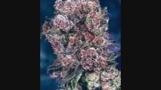 Andre Nickatina &amp; Equipto - Lost Hawks