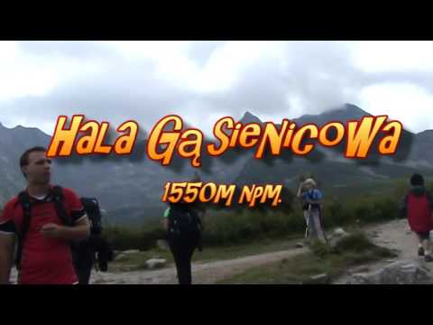 Wideo - Hala Gąsienicowa - YouTube