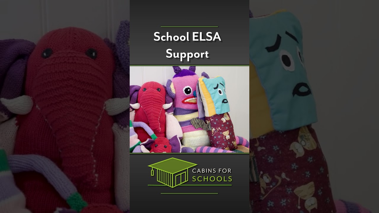 School ELSA Support